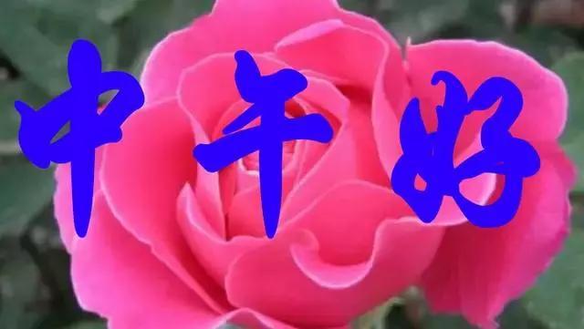 中午好表情包与其羡慕别人不如做好自己