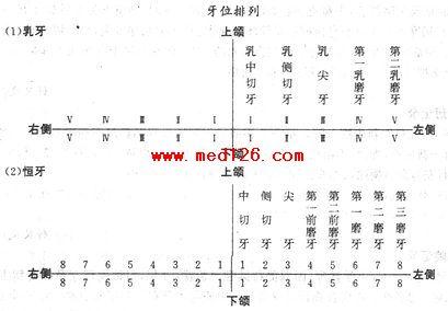 病历书写顺序microsoft word 文档