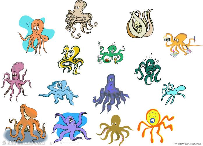 章鱼图片