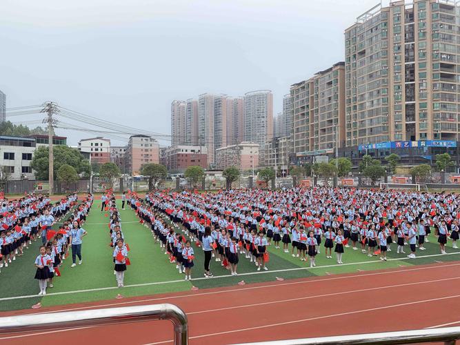永州市映山小学第一次少代会筹备会顺利召开