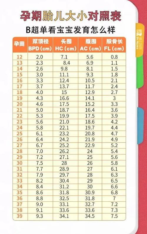 12-40周胎儿发育对照表,附胎儿体重计算公式!