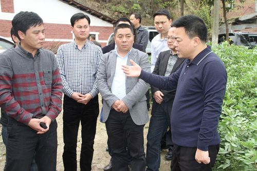 许国斌调研雷音铺片区"用水难"问题