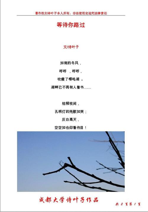 诗叶子诗歌 等待你路过