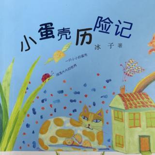 小蛋壳历险记-2