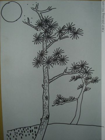 挺拔的松树(2月28日写生记录) - 马老师 - 马东的画室