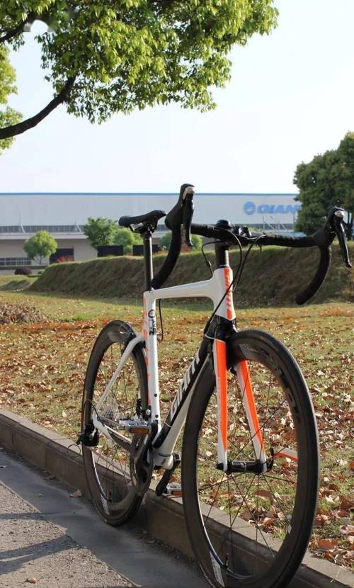 my18 propel advanced 2  ,零售价16800my19 propel adv sl d team