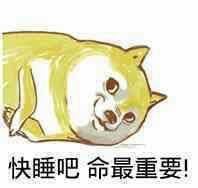 睡觉吧狗命最重要qq表情(睡觉吧狗命最重要表情包) 高清版