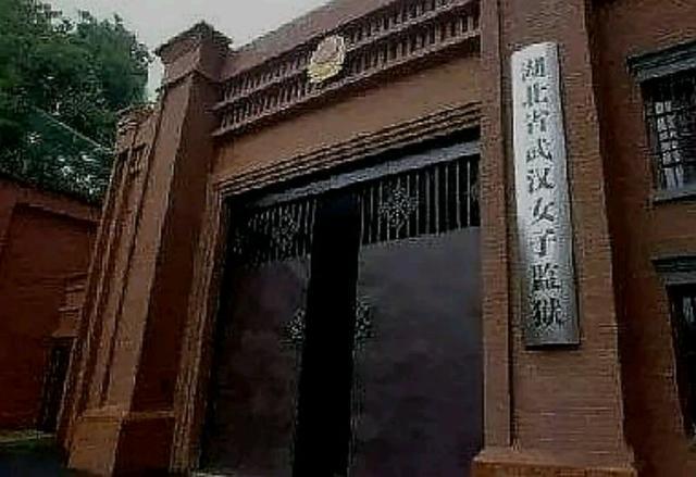 湖北监狱"刑释逃汉"赴京确珍女子,离真相还有多远