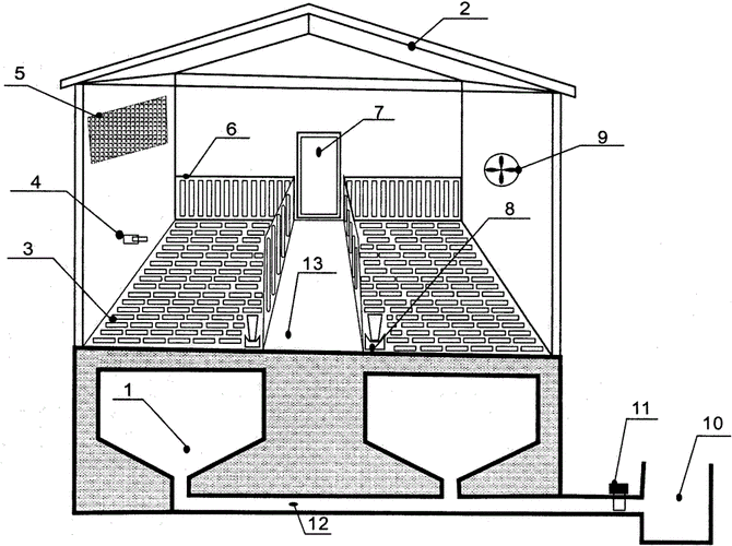 和清理粪便耗费大量人力物力等难题,设计出一种节水减排式泡粪养猪舍