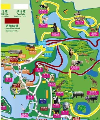 上海野生动物园旅游园区地图游玩路线攻略
