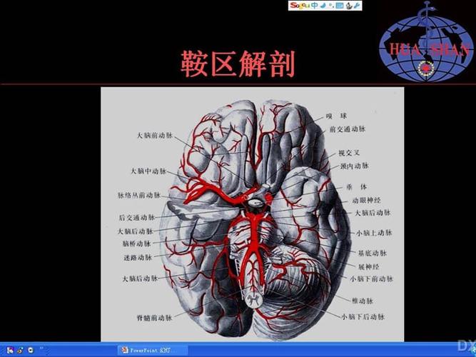 鞍区病变影像诊断上.ppt