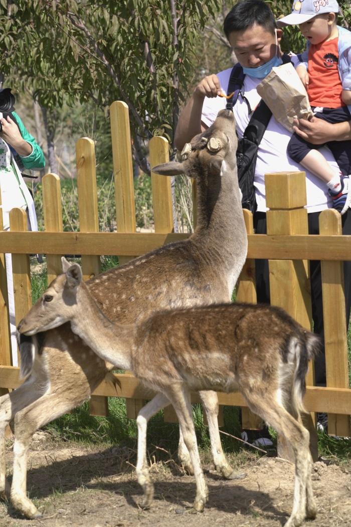 国际摄影协会甘肃分会一行在兰州野生动物园首批体验游