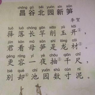 291昌谷北园新笋唐代李贺20160828