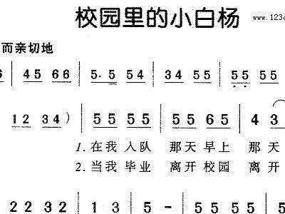 校园里的小白杨 歌谱 简谱