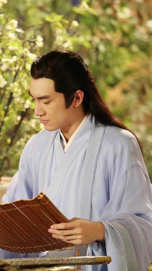 楚乔传·宇文玥·林更新