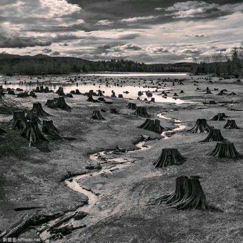 2019索尼世界摄影大赛公开组及国家地区奖获奖作品