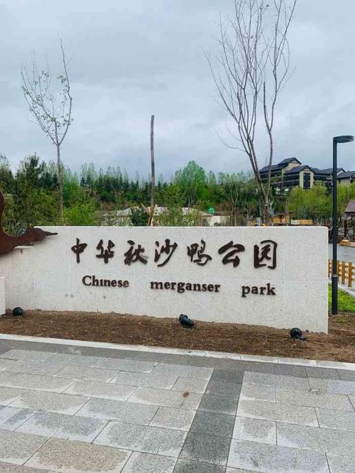 中华秋沙鸭公园