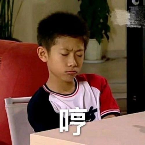 哼(家有儿女 刘星)表情包 - 日常表情包