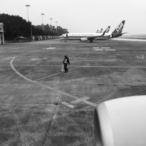 假借寻味顺德的名义来一趟顺德.