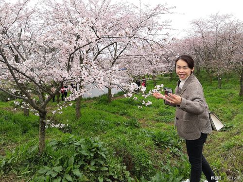平坝灰鹅火锅和野生菌炖鸡,农场路口酸汤鱼不错,如需住宿可到场部樟园