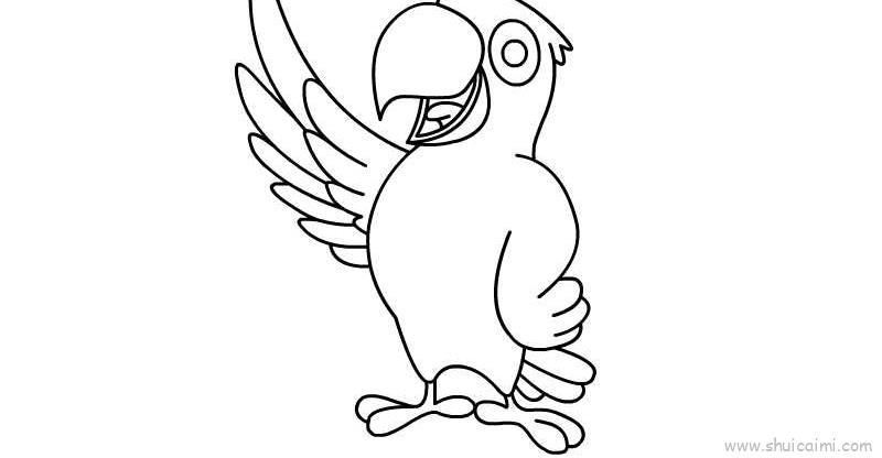 鹦鹉儿童画怎么画鹦鹉简笔画好看