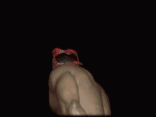 风云岛行动惊现香蕉君小队,身穿辣眼服装跳骚舞,引发全服追杀!