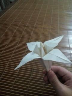 折纸教程:[1]如何折花