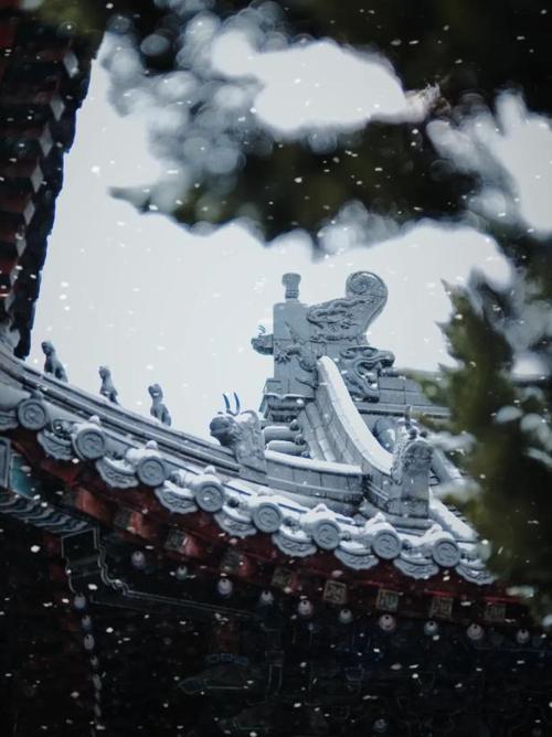 世间雪景万千,唯有西安大兴善寺的初雪,是唐长安城的