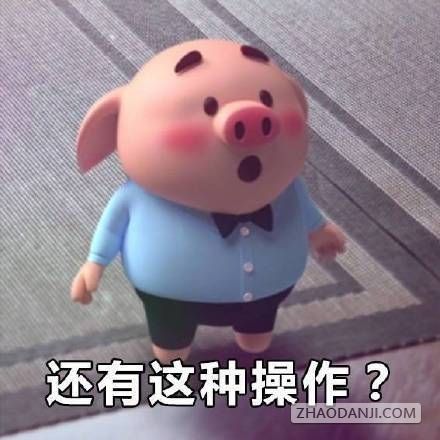 猪小屁猪头表情包
