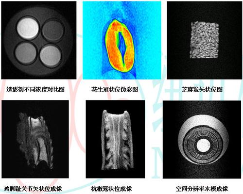 核磁共振教学仪_医学影像核磁共振成像仪_核磁共振成像实验仪