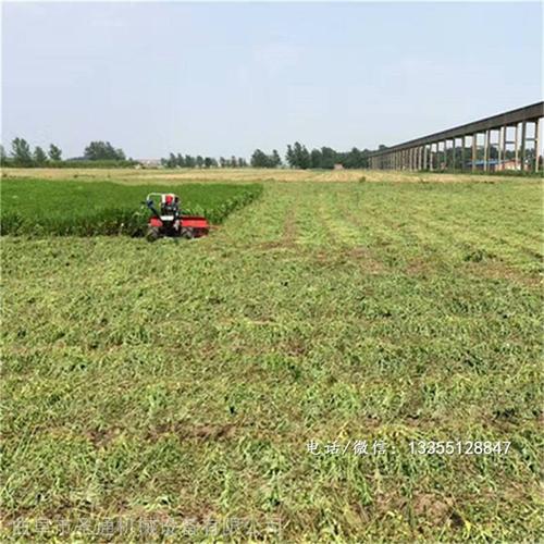 皇竹草收割机 小四轮带芦苇柳条收割机 圣通收割机厂家 直销