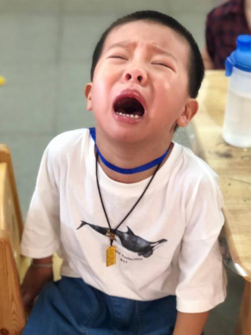 第一次离开爸爸妈妈,宝贝们眼泪汪汪