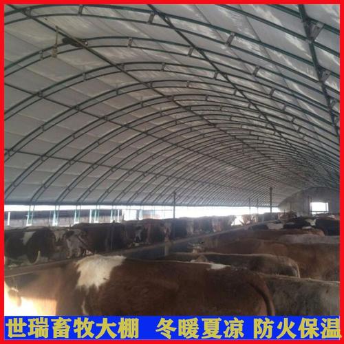 养牛大棚搭建厂家 钢架养牛大棚建设 养牛棚施工包工包料
