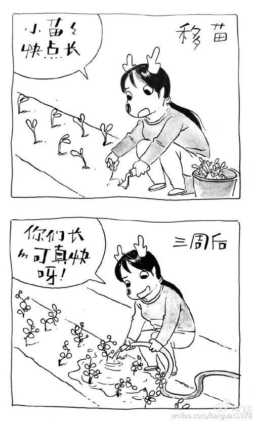 鹭种菜,狼绘画,京郊3年田居,全浓缩在小四格里,逗趣又美好