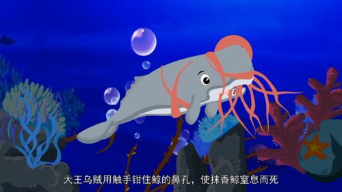 抹香鲸与大王乌贼之谁更厉害