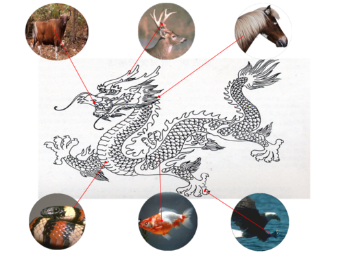 龙的典型形象是两个杈角,长须,蛇身,四足,鳞片满身,也可以说是马面