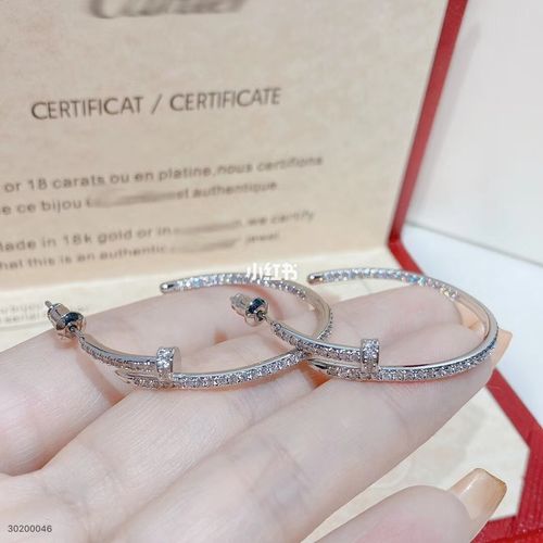 卡地亚钉子耳环_耳环_卡地亚怎么样_时尚_配饰