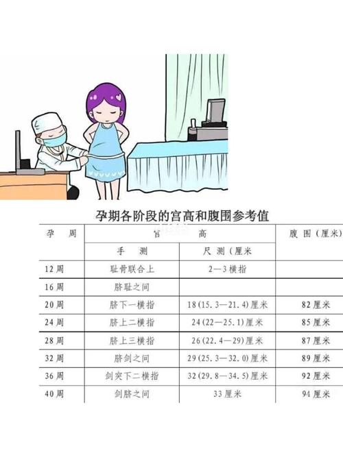 孕期胎儿发育如何,看腹围和宫高或许能知道_胎儿_孕妇