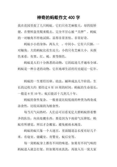 神奇的蚂蚁作文400字