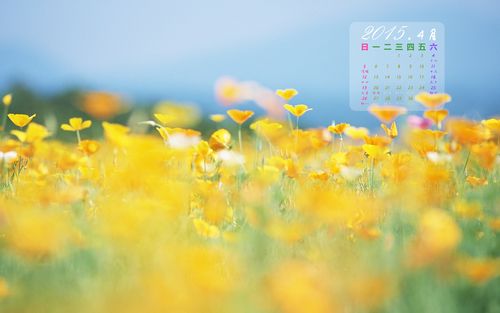 2015年4月小清新花卉日历壁纸
