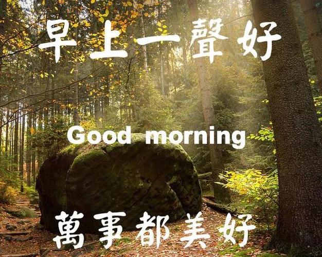早上正能量暖心的问候语,早安心语唯美的心情说说!