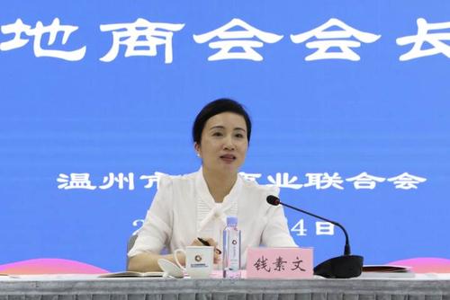与会会长对温州的建议,温州市委统战部副部长,市工商联党组书记钱素文