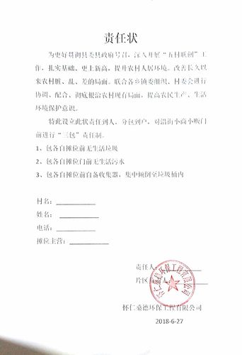 "责任状"模板