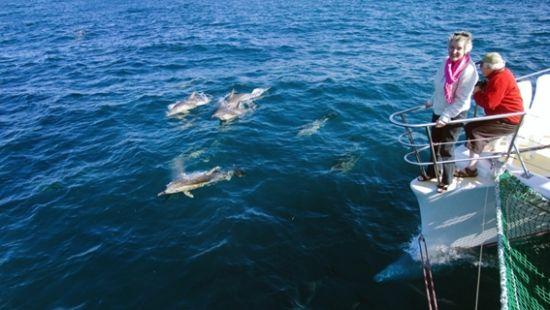 澳大利亚 正文    史蒂芬港则是下一站澳洲最出名旅游胜地,史蒂芬港