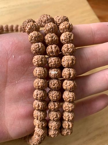 树王小金刚_菩提_金刚菩提_兴趣爱好_兴趣爱好其他