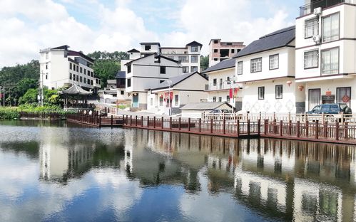 青秀区刘圩镇罗坡美丽风貌