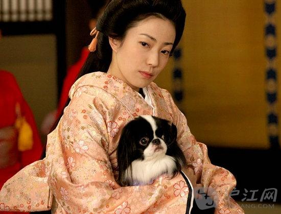 德川幕府迎来了鼎盛时期,而在大奥之中,就继任者一事,正室与侧室之间