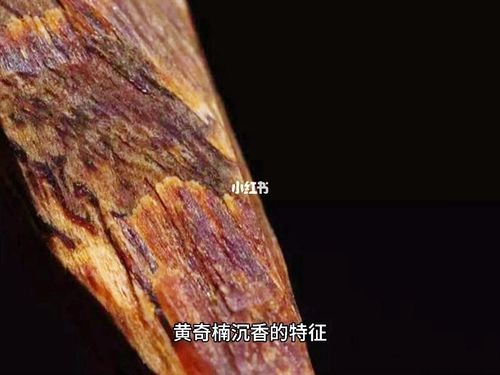 黄奇楠沉香的特征#黄奇楠沉香的香味_沉香_兴趣爱好