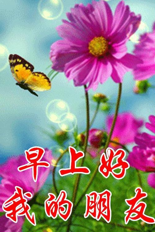 3月17日新版早上好鲜花图片带字温馨微信阳光早上好图片集锦