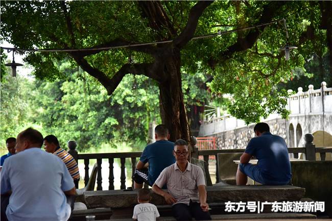 佛山老人保留着榕树下乘凉的习俗,他们说乘的不止是凉还有乡愁